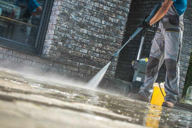 Best Building Exterior Washing  in Orange Blossom, CA