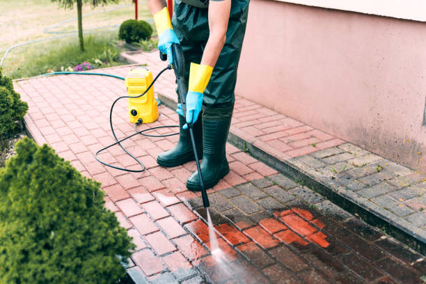 Best Driveway Pressure Washing  in Orange Blossom, CA