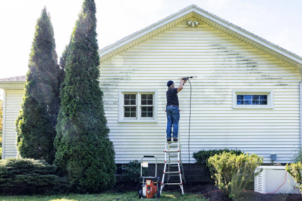 Best Building Exterior Washing  in Orange Blossom, CA