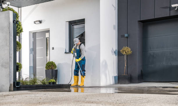Best Paint Preparation  in Orange Blossom, CA